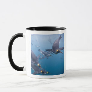 Antarktika, South Georgia Island (UK), 2 Tasse