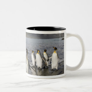 Antarktika, South Georgia Island (UK), Antarktis 2 Zweifarbige Tasse