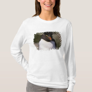 Antarktika, Subantarktische Inseln, Süd 5 T-Shirt