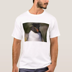 Antarktika, Subantarktische Inseln, Süd 5 T-Shirt