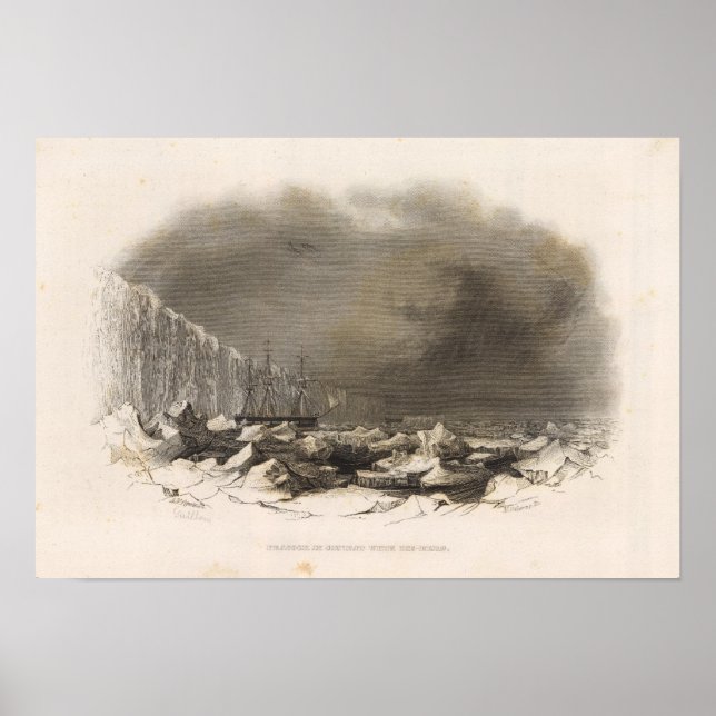 Antarktis 4 poster (Vorne)