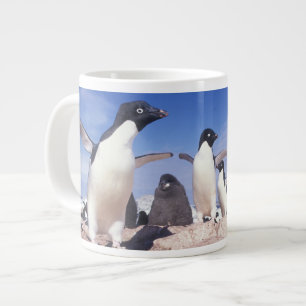 Antarktis, Adelie Penguin Pygoscelis Jumbo-Tasse