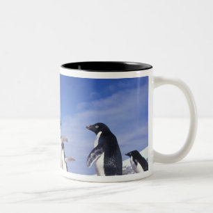 Antarktis, Adelie Penguin Pygoscelis Zweifarbige Tasse