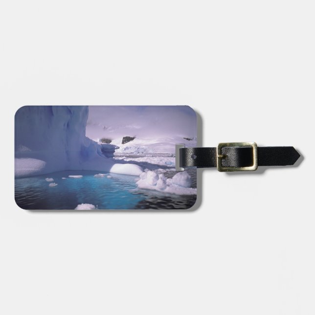 Antarktis Antarktis 2 Gepäckanhänger (Vorderseite horizontal)