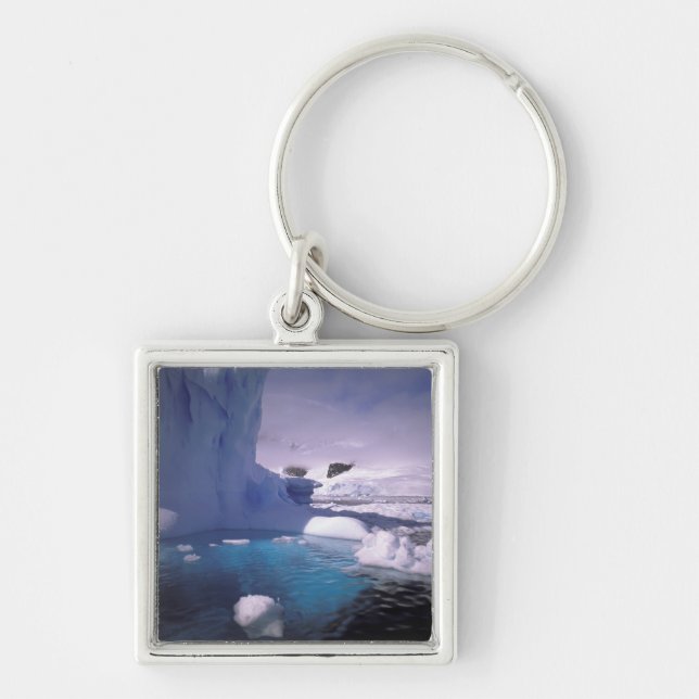 Antarktis Antarktis 2 Schlüsselanhänger (Vorne)