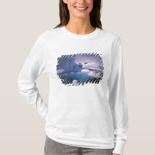 Antarktis Antarktis 2 T-Shirt