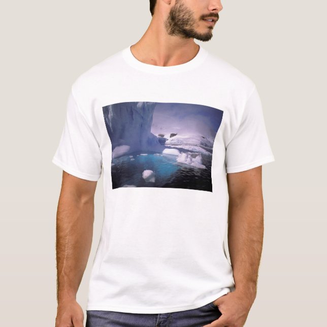 Antarktis Antarktis 2 T-Shirt (Vorderseite)