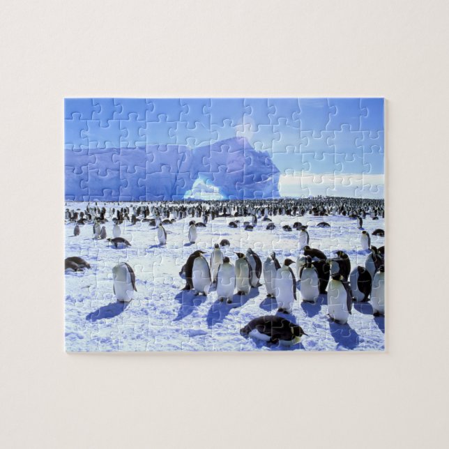 Antarktis, Antarktis, Halbinsel Weddell Sea, 5 Puzzle (Horizontal)