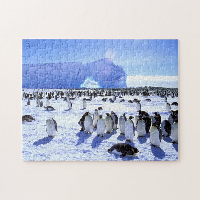 Antarktis, Antarktis, Halbinsel Weddell Sea 5 Puzzle (Horizontal)