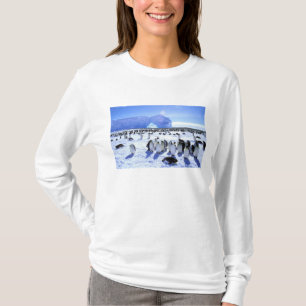 Antarktis, Antarktis, Halbinsel Weddell Sea, 5 T-Shirt