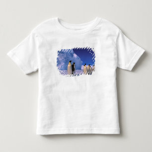 Antarktis, Australisches Antarktis-Gebiet, 7 Kleinkind T-shirt