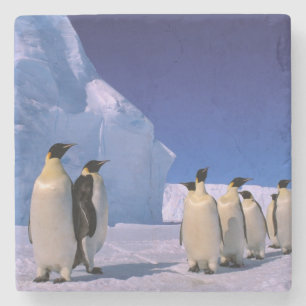 Antarktis, Australisches Antarktis-Gebiet, 7 Steinuntersetzer