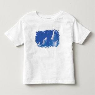 Antarktis, australisches Antarktis-Gebiet. Kleinkind T-shirt