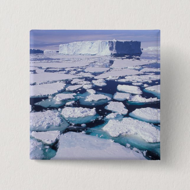 Antarktis, Eisfluss Button (Vorderseite)