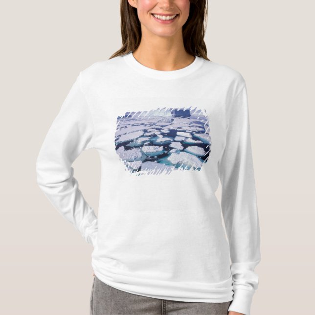 Antarktis, Eisfluss T-Shirt (Vorderseite)