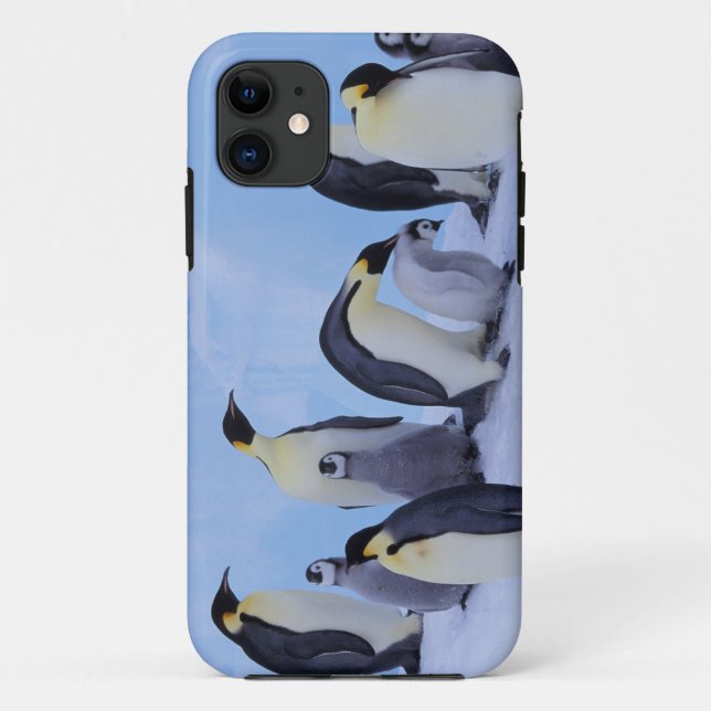 Antarktis, Emporer-Pinguine Case-Mate iPhone Hülle (Rückseite)