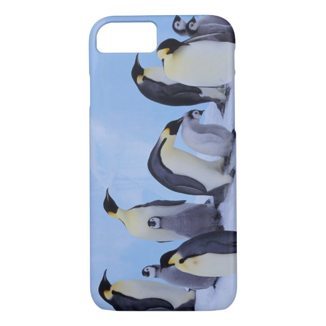 Antarktis, Emporer-Pinguine Case-Mate iPhone Hülle (Rückseite)