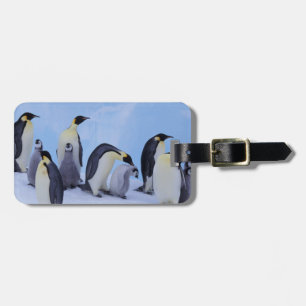 Antarktis, Emporer-Pinguine Gepäckanhänger