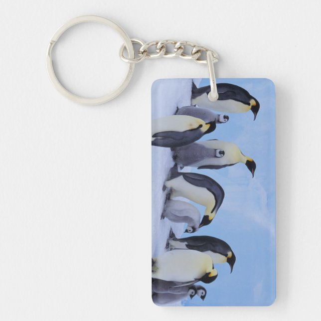 Antarktis, Emporer-Pinguine Schlüsselanhänger (Vorderseite)