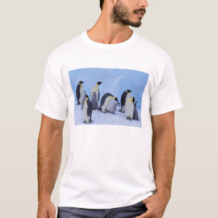 Antarktis, Emporer-Pinguine T-Shirt