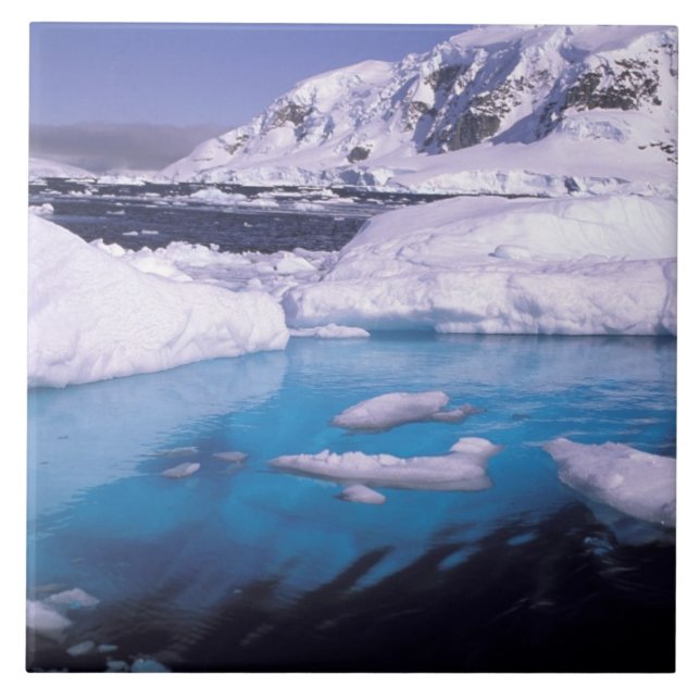 Antarktis Expedition durch Eisen 2 Fliese (Vorderseite)