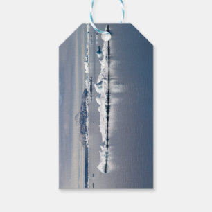 Antarktis Geschenkanhänger