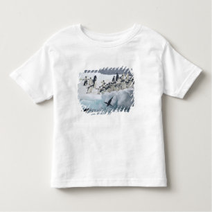 Antarktis, Insel Paulet. Adelie Pinguine Kleinkind T-shirt