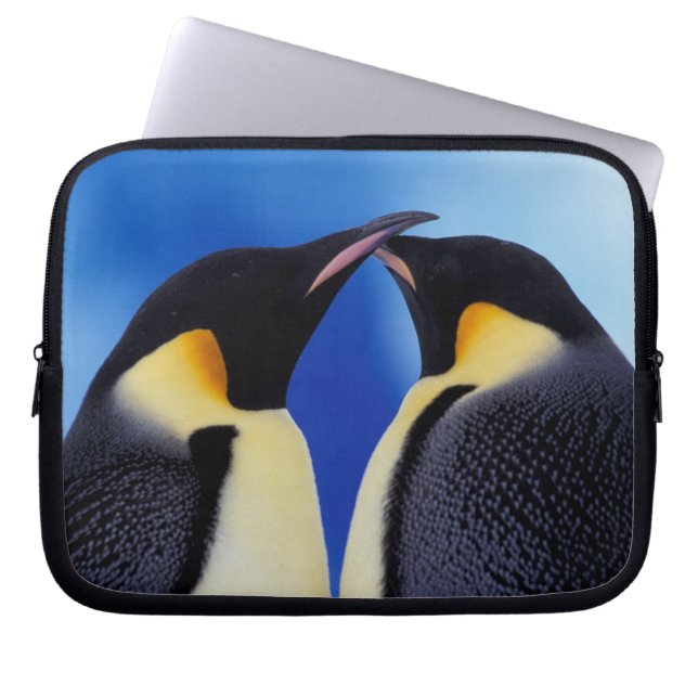 Antarktis, Kaiserpinguine Laptopschutzhülle (Vorderseite)