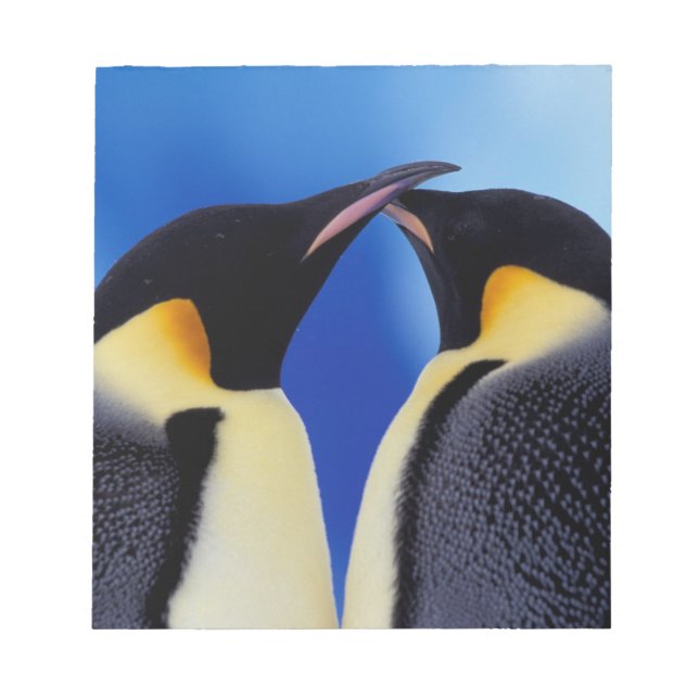 Antarktis, Kaiserpinguine Notizblock (Vorderseite)