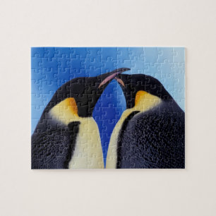 Antarktis, Kaiserpinguine Puzzle