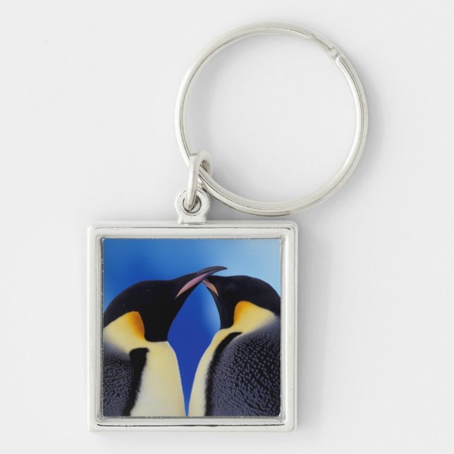 Antarktis, Kaiserpinguine Schlüsselanhänger (Vorne)
