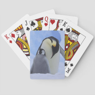 Antarktis. Kaiserpinguine und Küken Spielkarten