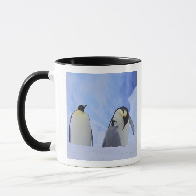 Antarktis. Kaiserpinguine und Küken Tasse (Links)