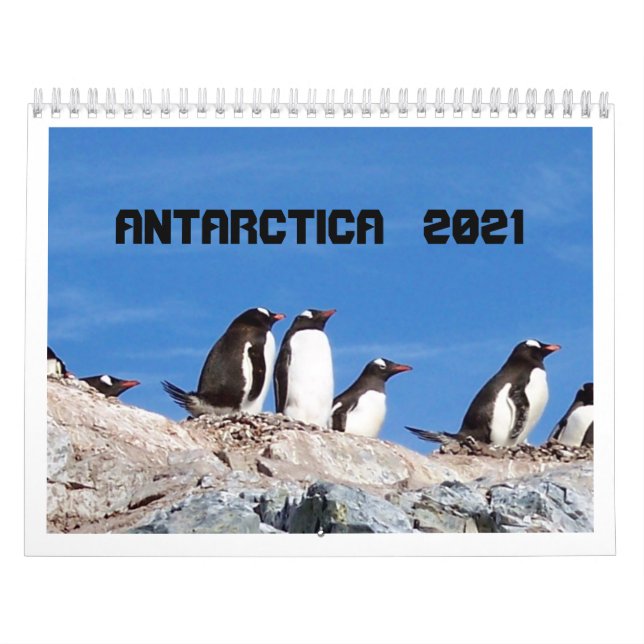 Antarktis - Kalender 2020 (Titelbild)