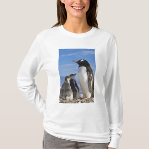 Antarktis, Neko Cove (Hafen). Gentoo Pinguin 2 T-Shirt