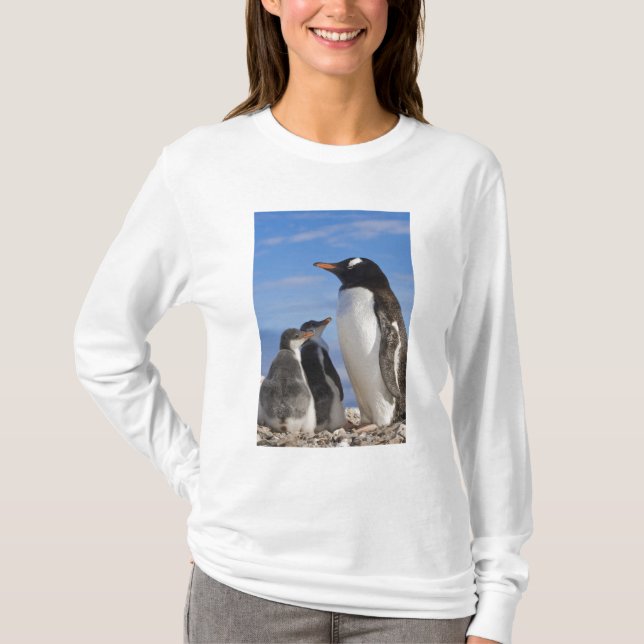 Antarktis, Neko Cove (Hafen). Gentoo Pinguin 2 T-Shirt (Vorderseite)