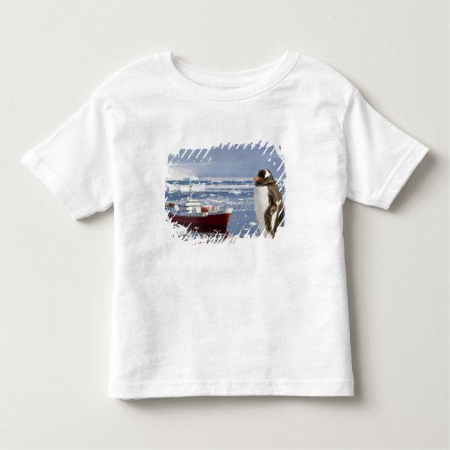 Antarktis, Neko Cove (Hafen). Gentoo Pinguin Kleinkind T-shirt (Vorderseite)