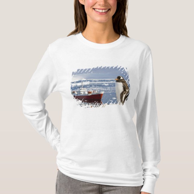 Antarktis, Neko Cove (Hafen). Gentoo Pinguin T-Shirt (Vorderseite)