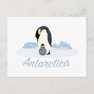 Antarktis Pinguine Postkarte