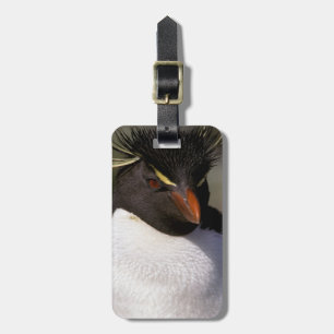 Antarktis, subantarktische Inseln, Süden 5 Gepäckanhänger