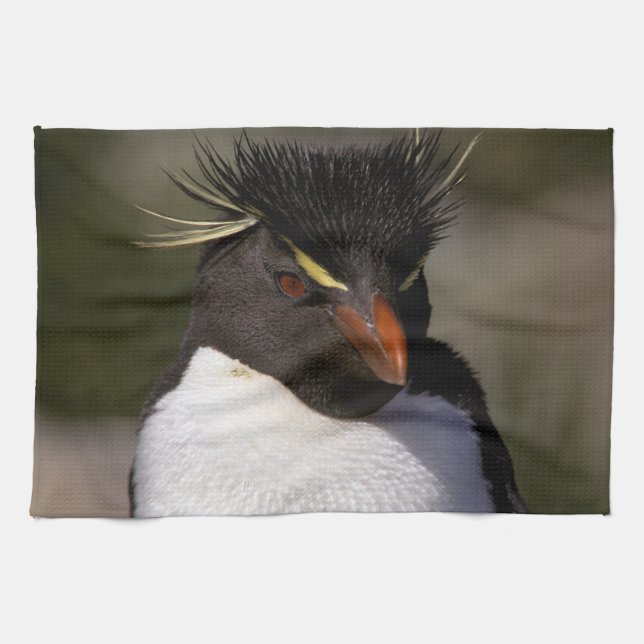 Antarktis, subantarktische Inseln, Süden 5 Geschirrtuch (Horizontal)