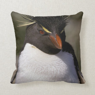 Antarktis, subantarktische Inseln, Süden 5 Kissen