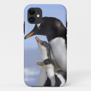 Antarktische Halbinsel, Neko Hafen, Gentoo Case-Mate iPhone Hülle
