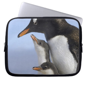 Antarktische Halbinsel, Neko-Hafen, Gentoo Laptopschutzhülle