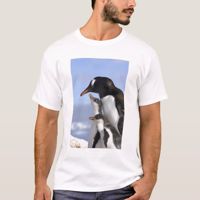 Antarktische Halbinsel, Neko Hafen, Gentoo T-Shirt (Vorderseite)