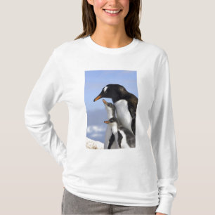 Antarktische Halbinsel, Neko Hafen, Gentoo T-Shirt
