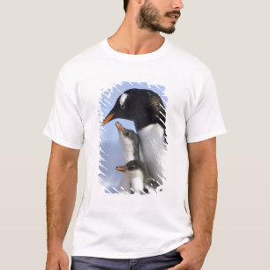 Antarktische Halbinsel, Neko Hafen, Gentoo T-Shirt