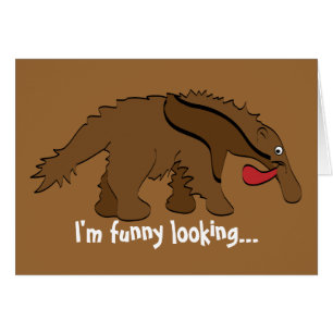 Anteater