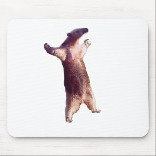 Anteater Mousepad