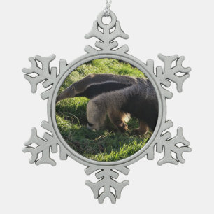 Anteater Schneeflocken Zinn-Ornament